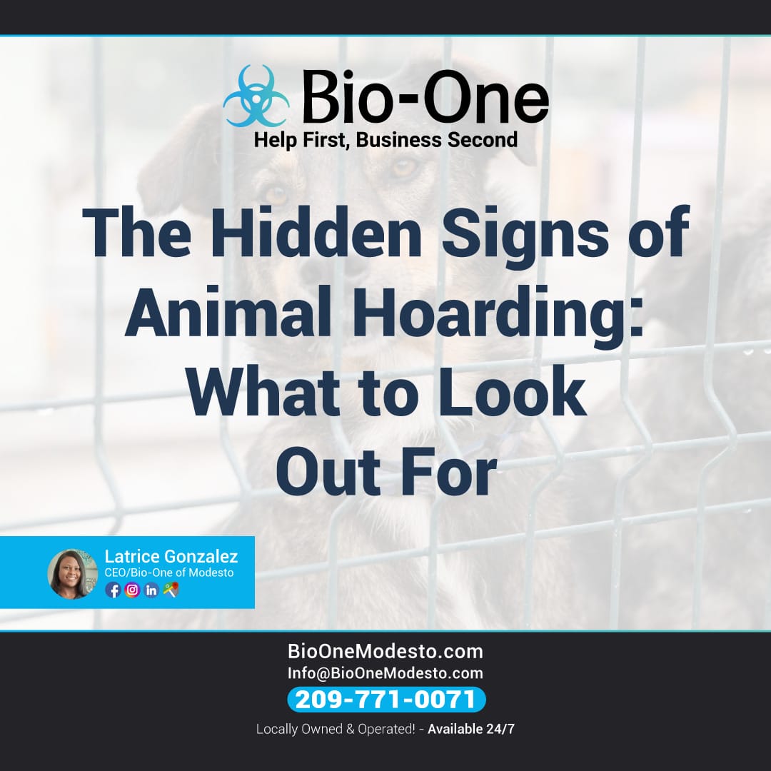 The Hidden Signs of Animal Hoarding What to Look Out For BioOne of